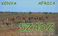 5Z4DZ